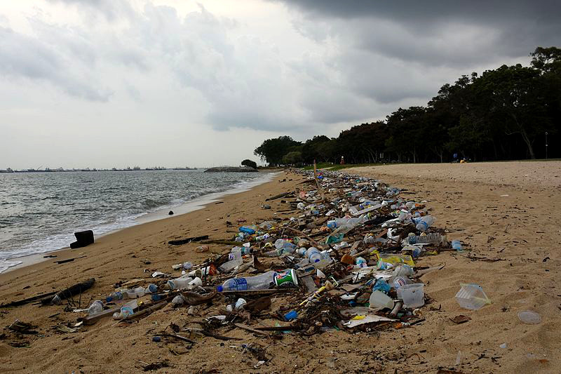 Szacuje się, że na powierzchni oceanów unosi się około 100 milionów ton plastiku.  [CC BY 2.0, via Wikimedia Commons]