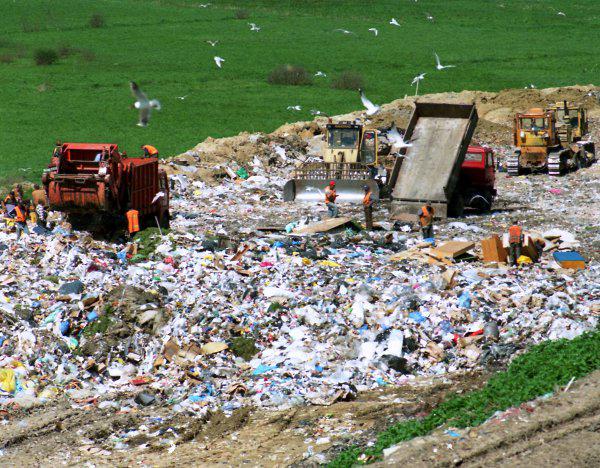 Fot. Cezary P./ Wikipedia CC