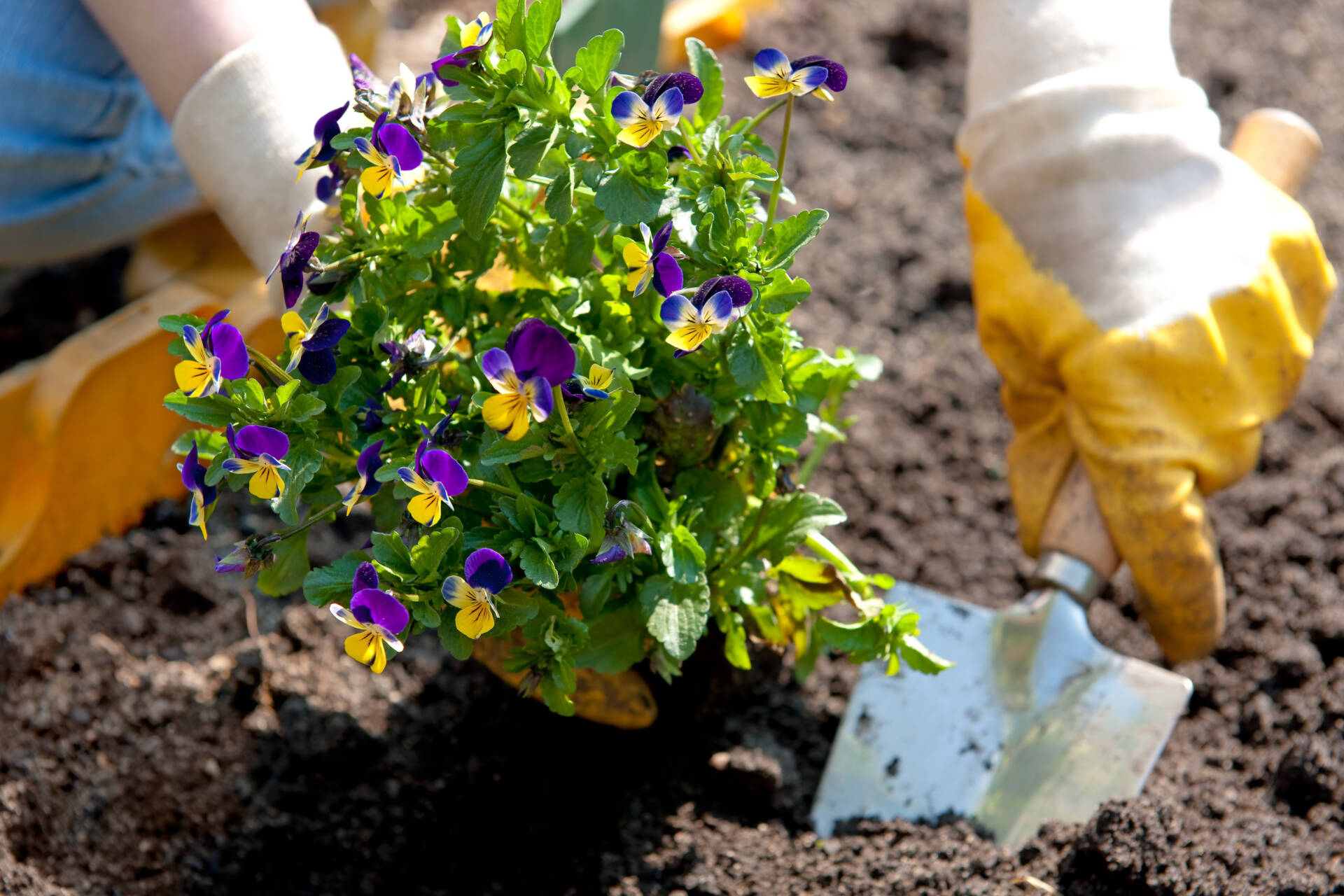 Rusza kolejna edycja konkursu „Zielona Ławeczka”