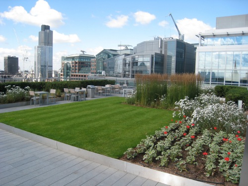 Ogród na dachu w sercu londyńskiego City, fot. Dusty Gedge
