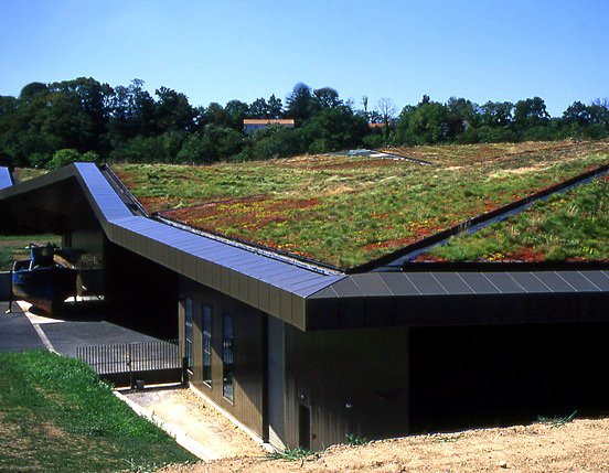 Co zrobić, by zielone dachy nie przeciekały? Źródło: Wikipedia