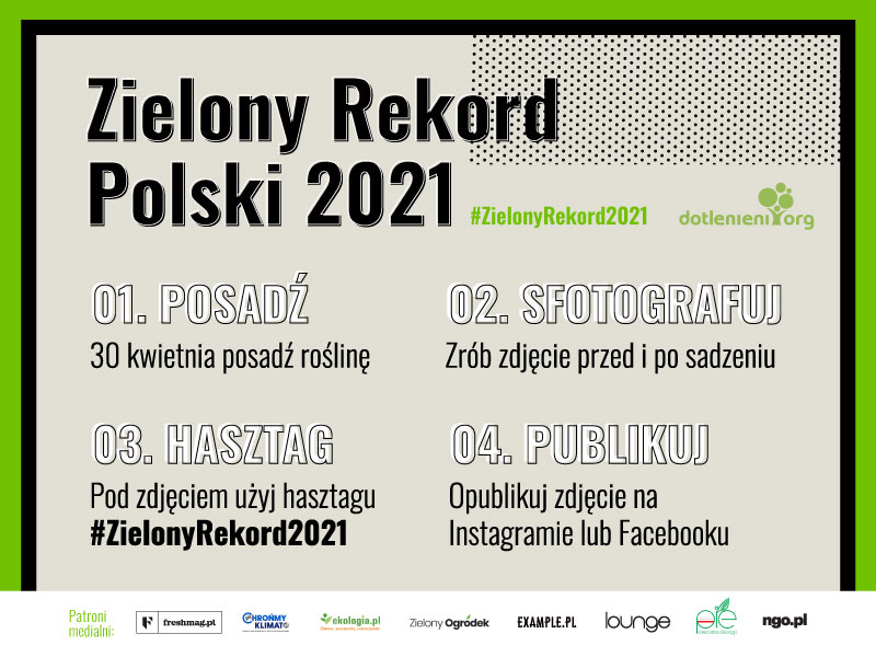 zielony