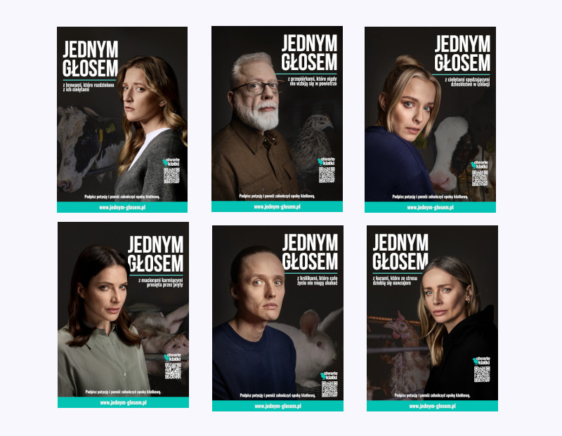 Źródło: Otwarte Klatki