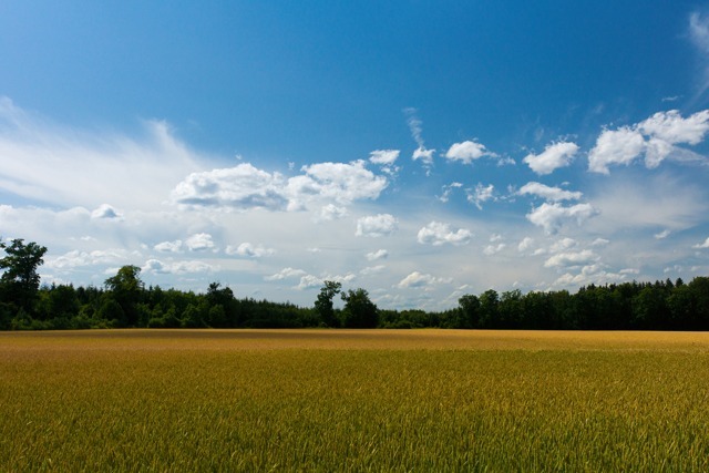 grąco, burze
