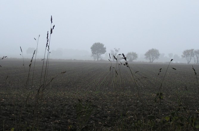 Freeimages.com/Helmut Gevert