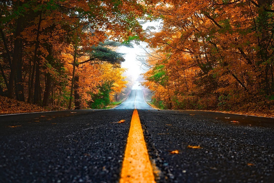 fot. pixabay.com
