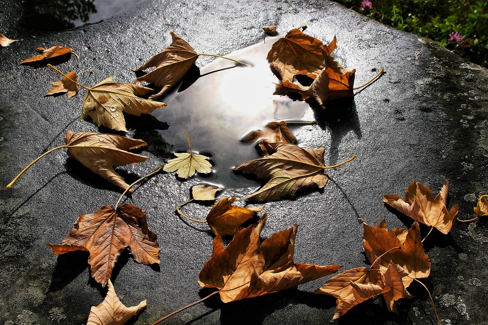 fot. pixabay.com