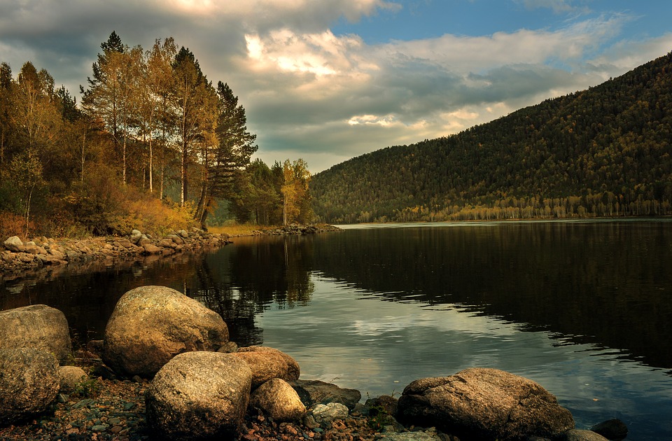 fot. pixabay.com