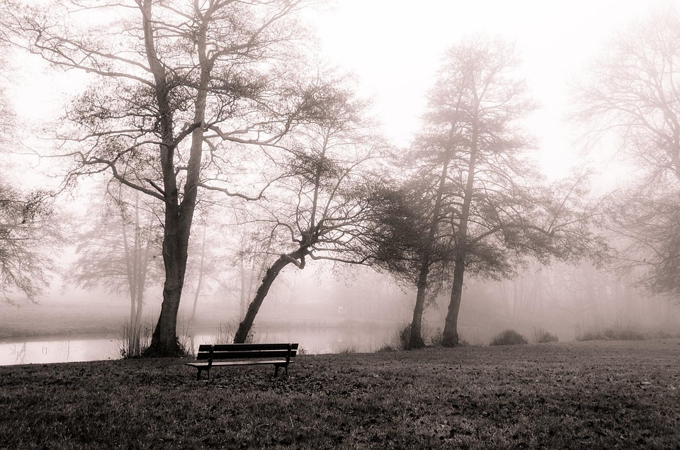 fot. pixabay.com