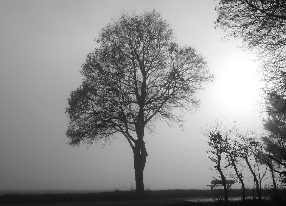 fot. pixabay.com