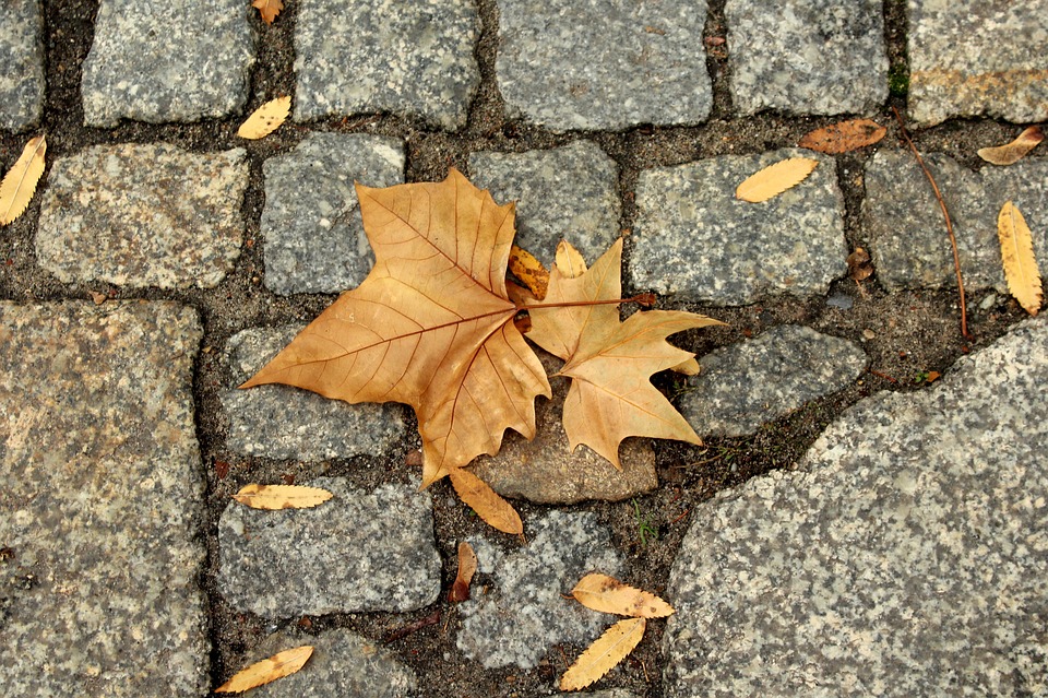 pixabay.com