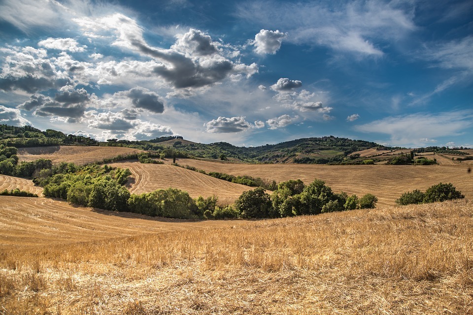 fot. pixabay.com