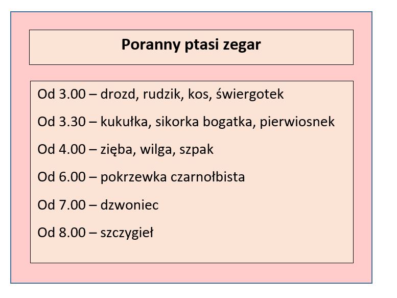 Tabela przedstawiająca pory porannego śpiewu poszczególnych gatunków ptaków; opracowanie własne na podst. https://magazyn.elubin.pl/ptasi-budzik-czyli-jaki-ptak-nas-budzi/