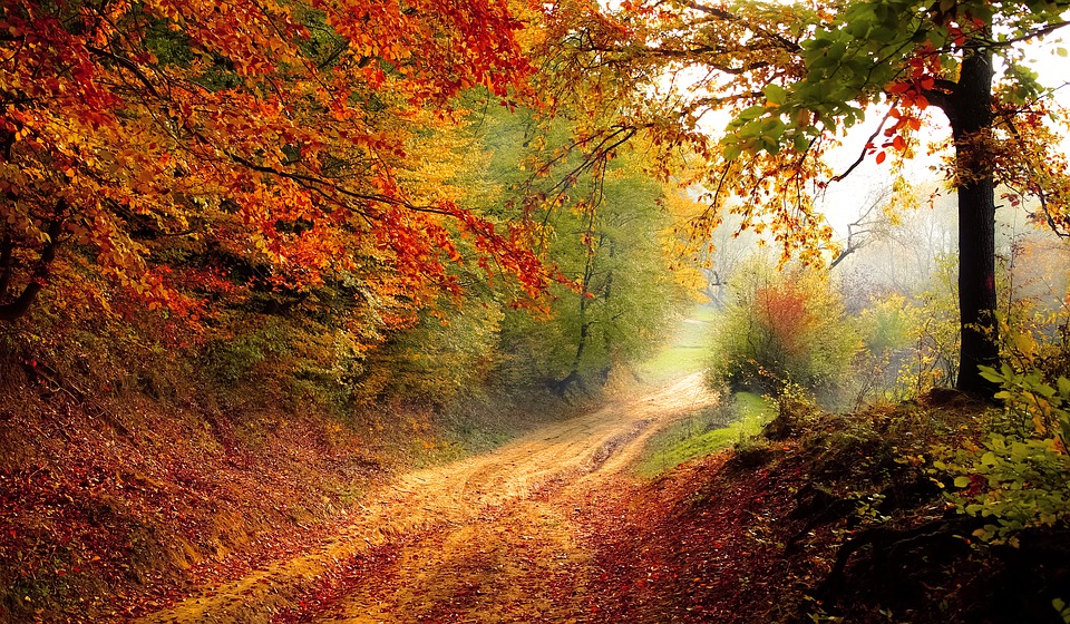 pixabay.com