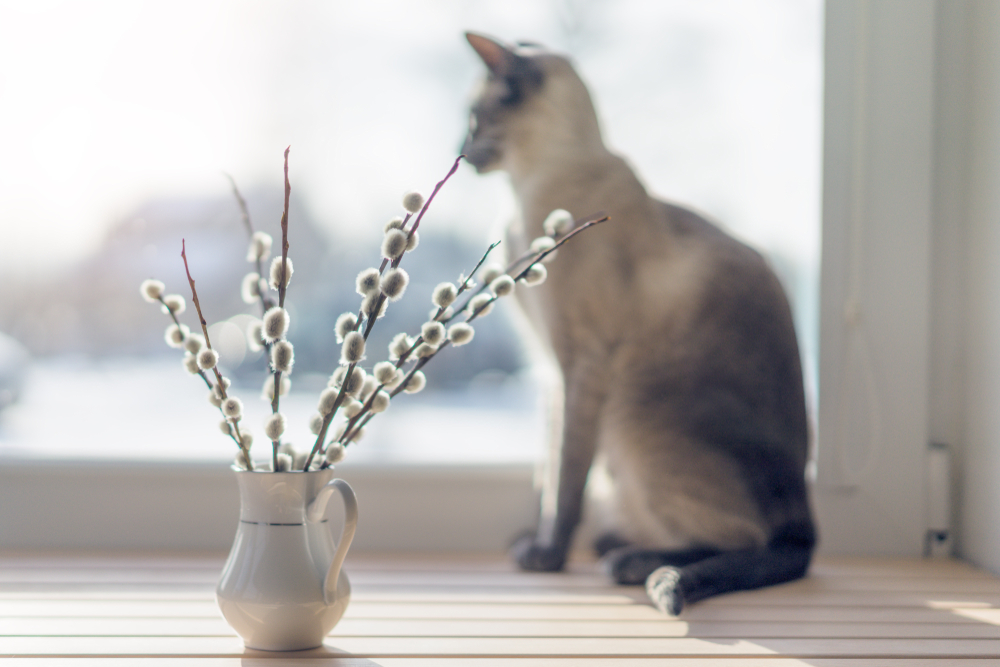 fot. shutterstock