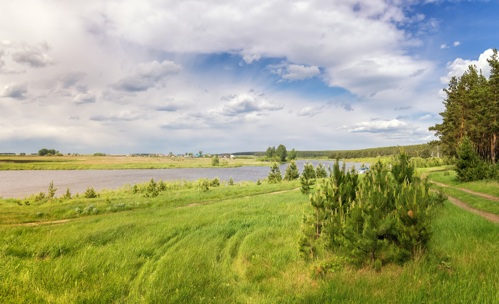 fot. shutterstock