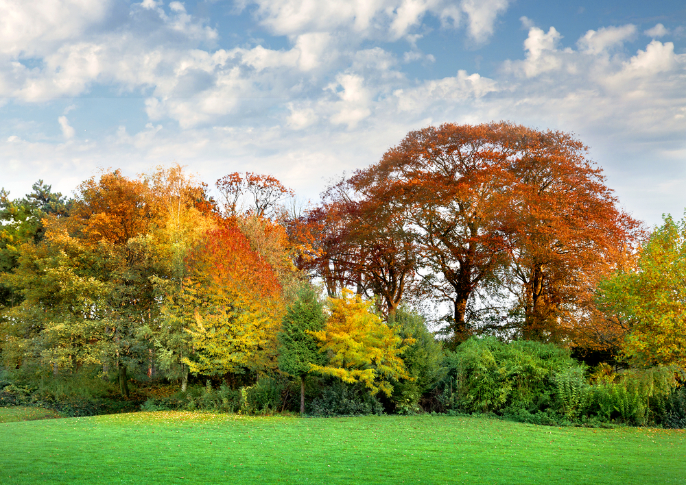 fot. shutterstock