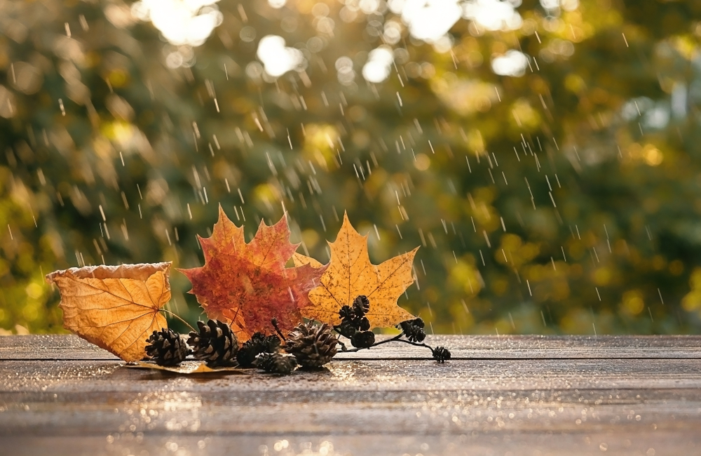 fot. shutterstock
