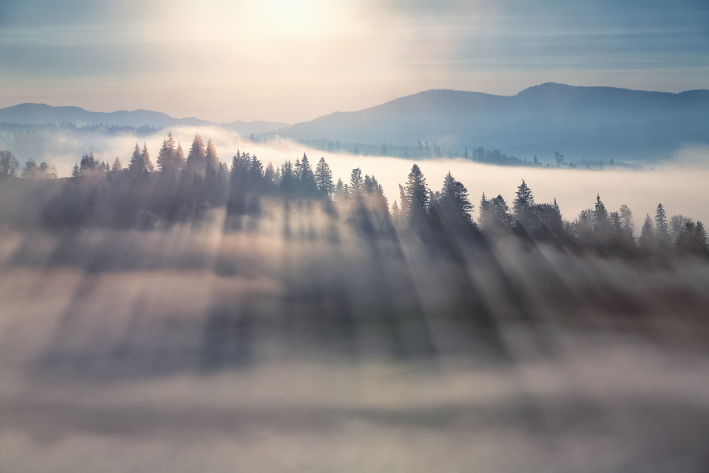 fot. shutterstock