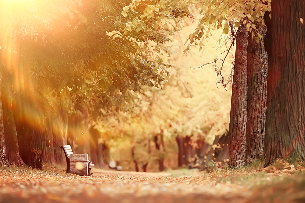 fot. shutterstock