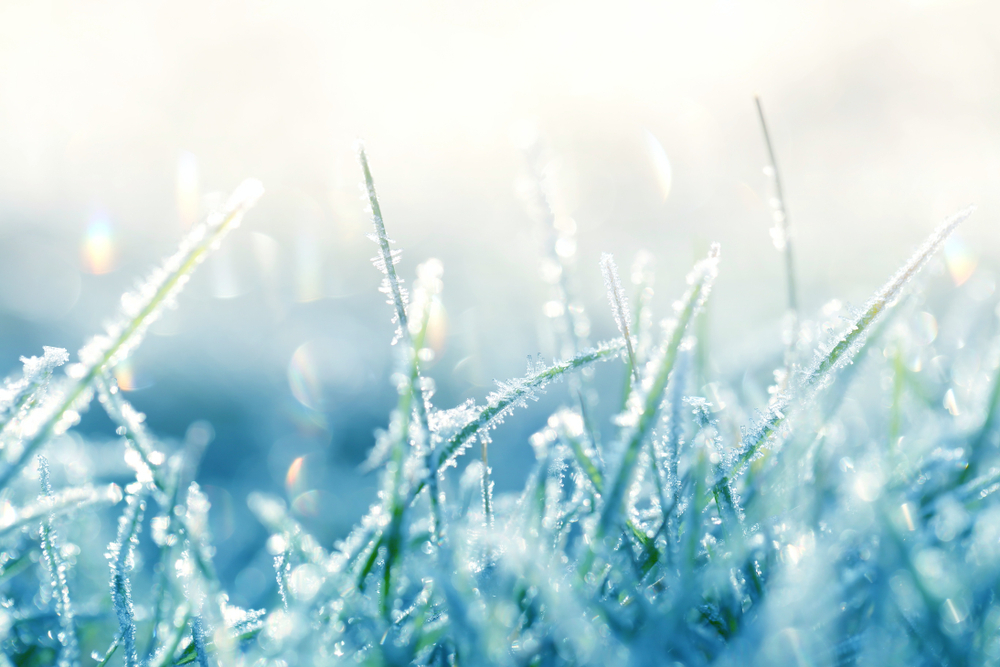 fot. shutterstock