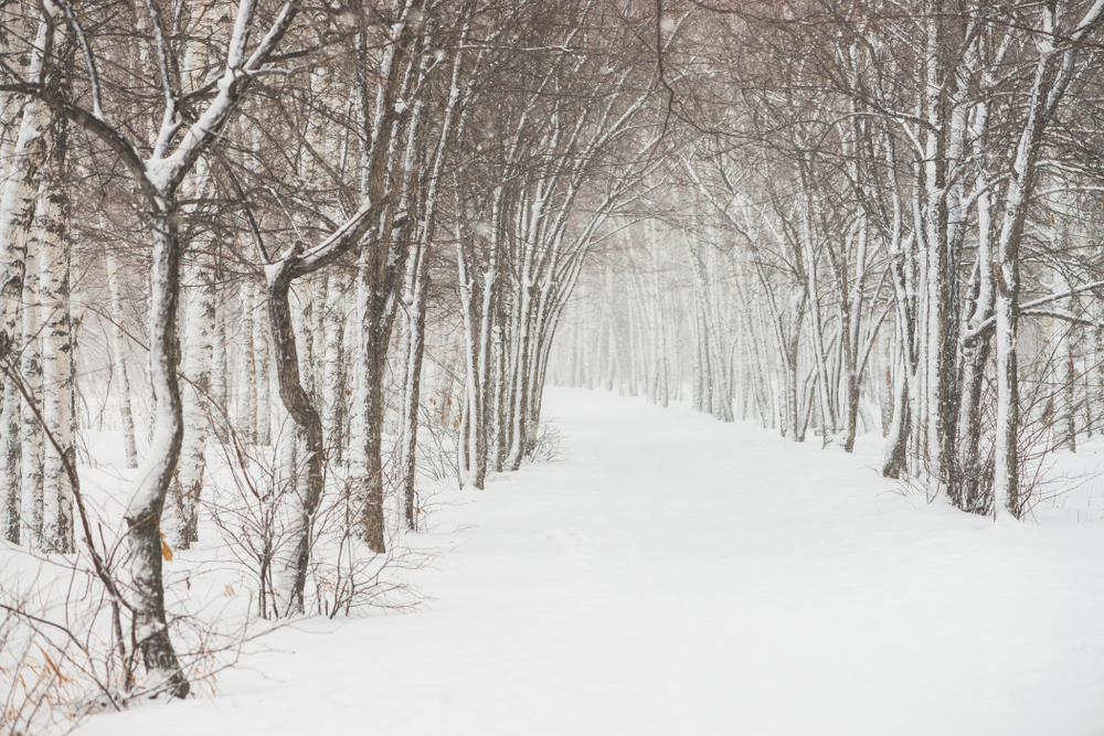 fot. shutterstock