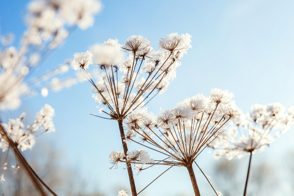fot. shutterstock