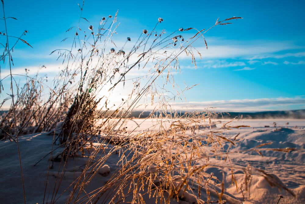 Fot. Ysign/Shutterstock
