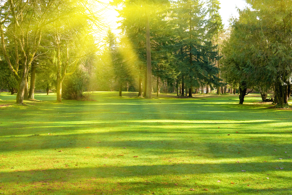 fot. shutterstock