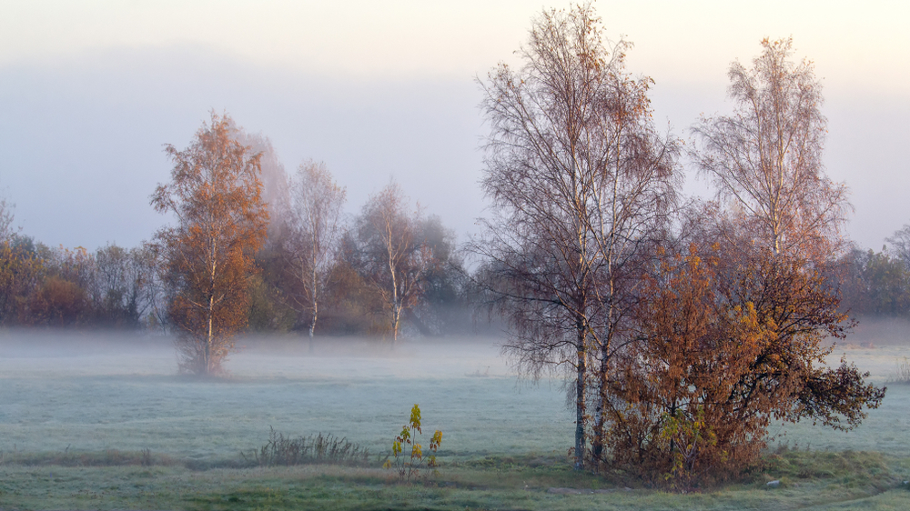 fot. shutterstock