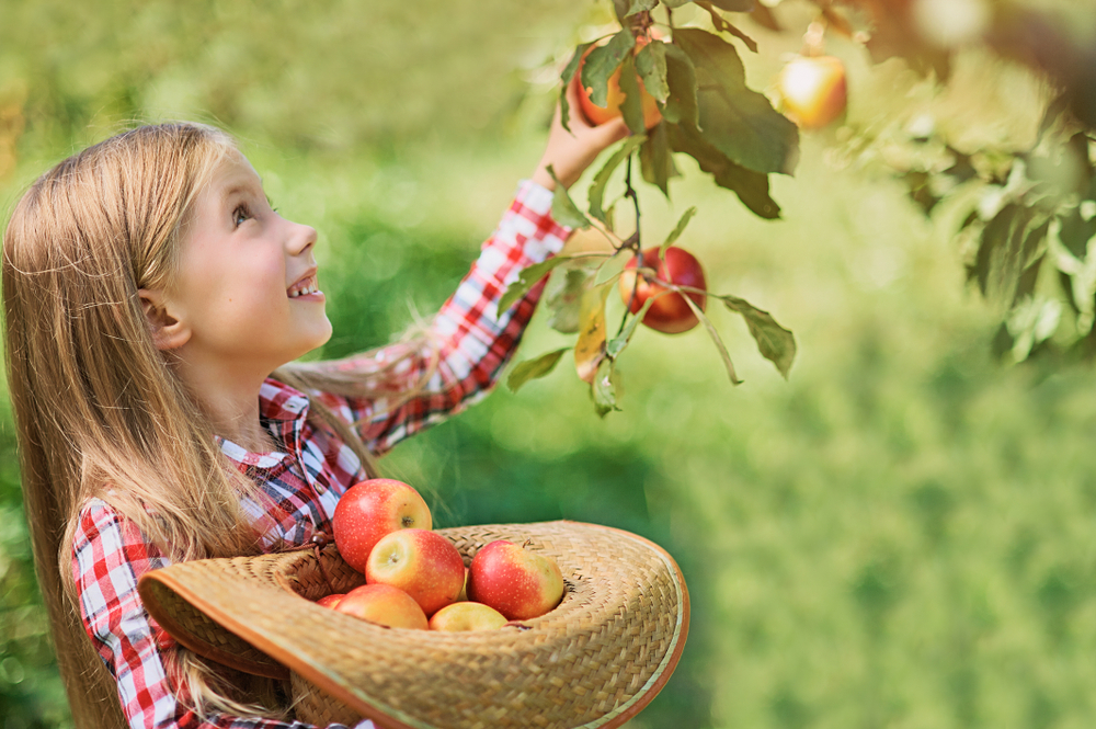 fot. shutterstock