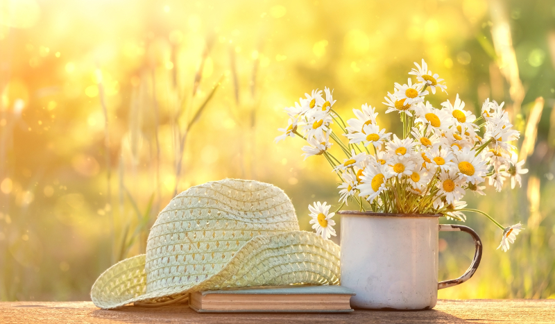 fot. shutterstock