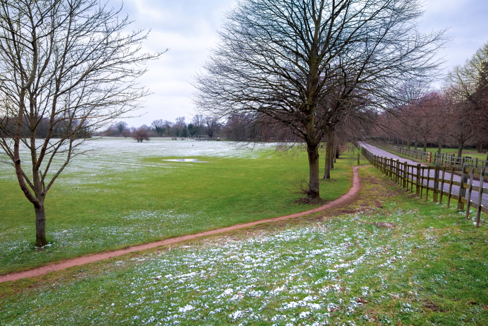 Fot. DreamcatcherDiana/Shutterstock