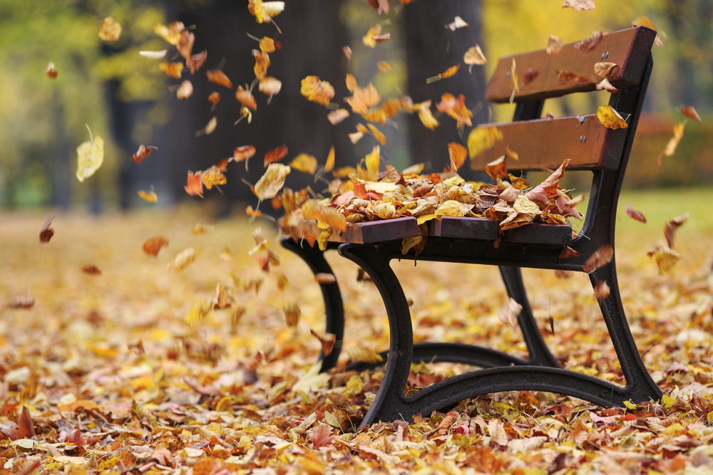 fot. shutterstock