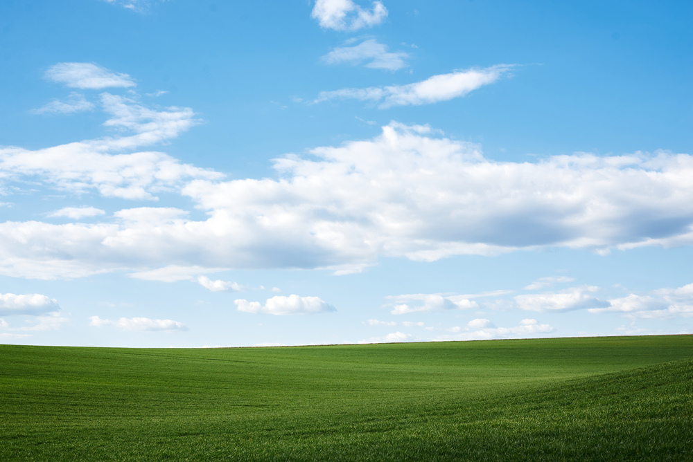 fot. shutterstock