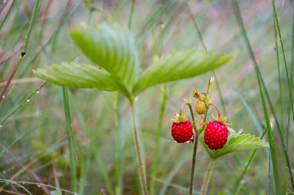 fot. shutterstock