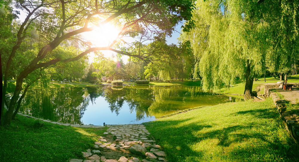 Fot. LedyX/Shutterstock