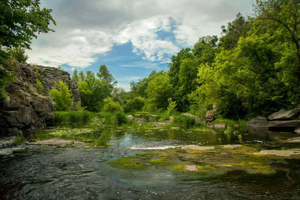 fot. shutterstock