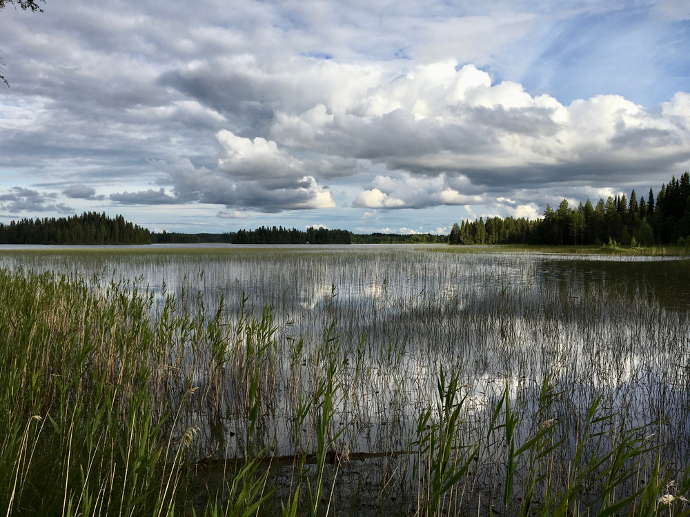 fot. shutterstock