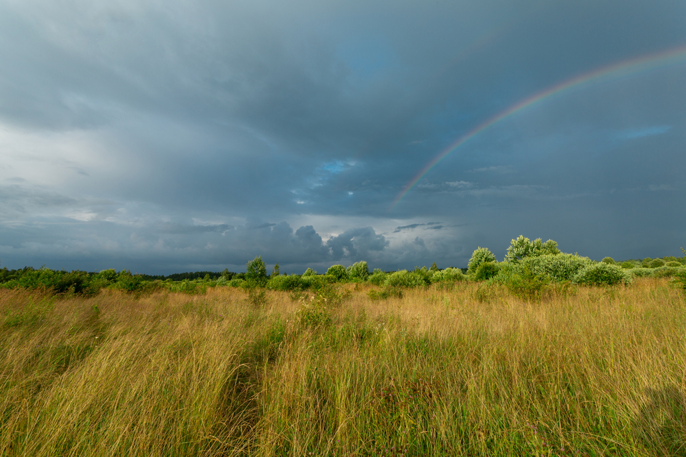 fot. shutterstock