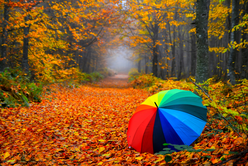 fot. shutterstock
