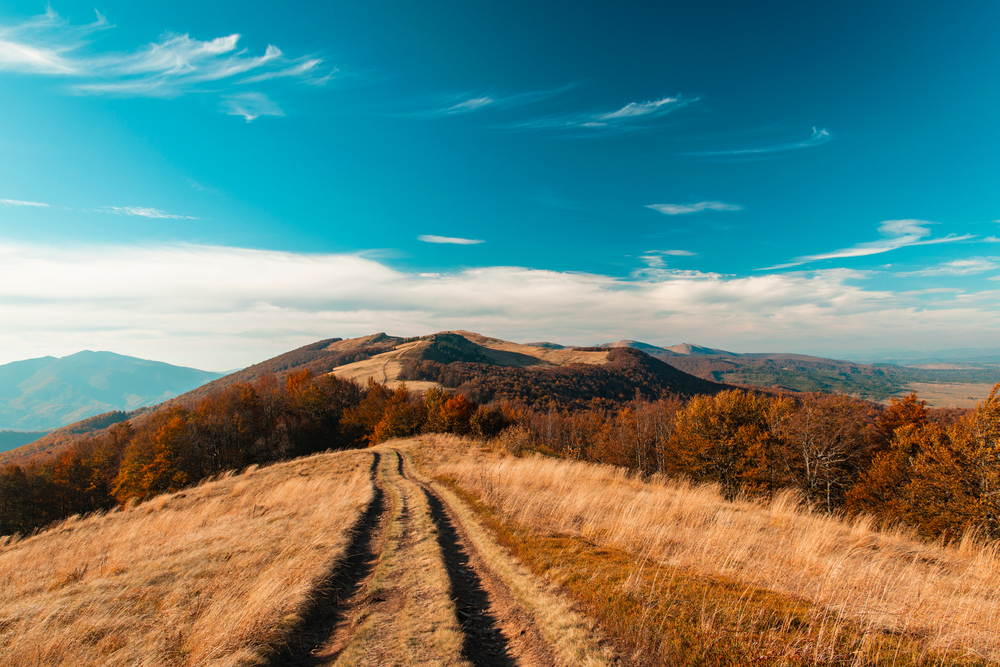 fot. shutterstock