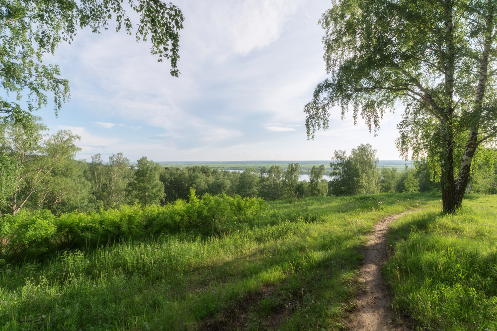 fot. shutterstock