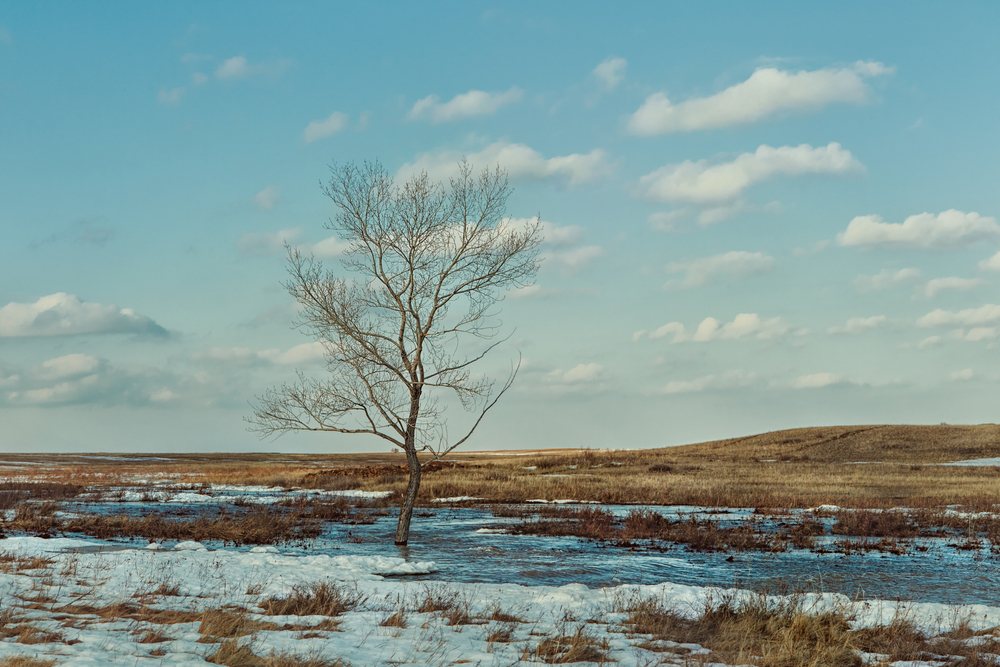 Fot. Trofimchuk Vladimir/Shutterstock
