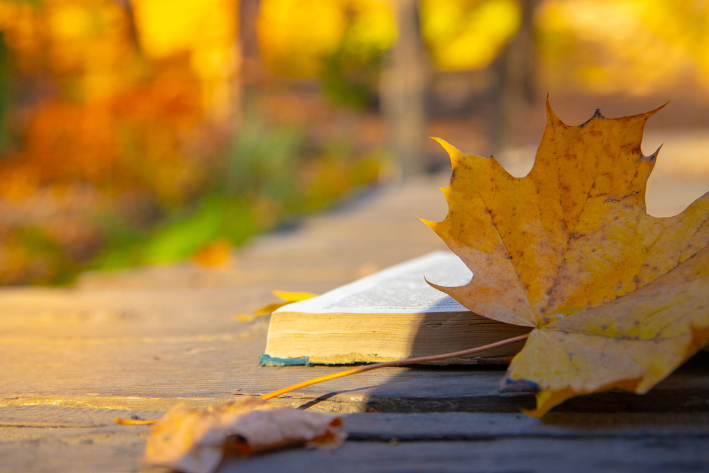 Fot. PalSand/Shutterstock