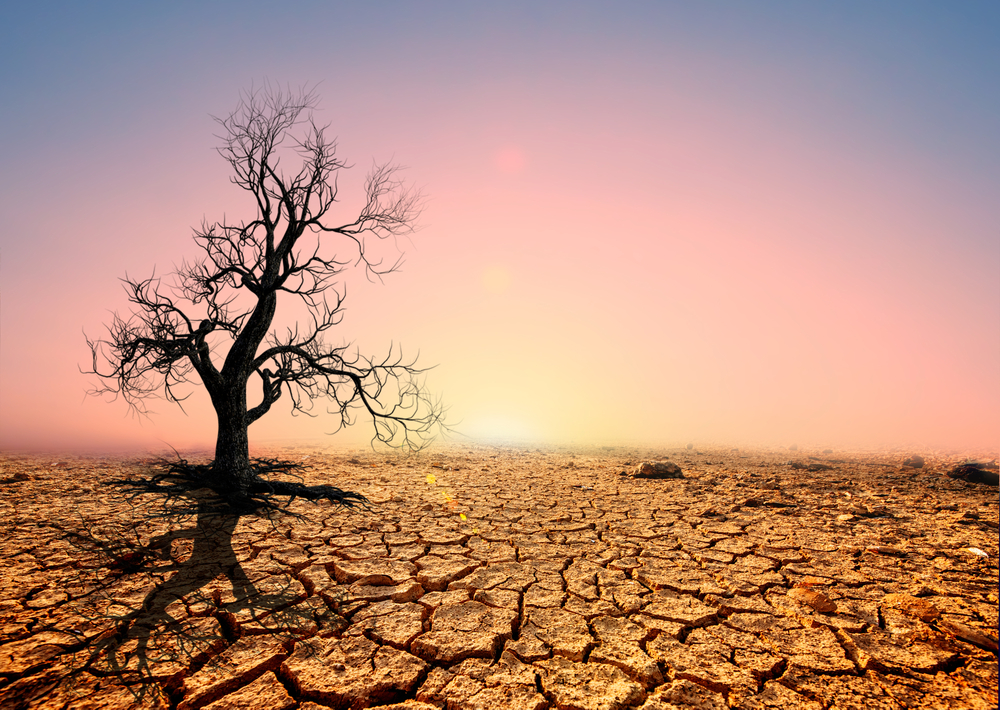 Fot. i am adventure/Shutterstock