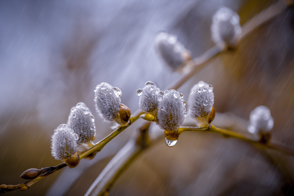 fot. shutterstock