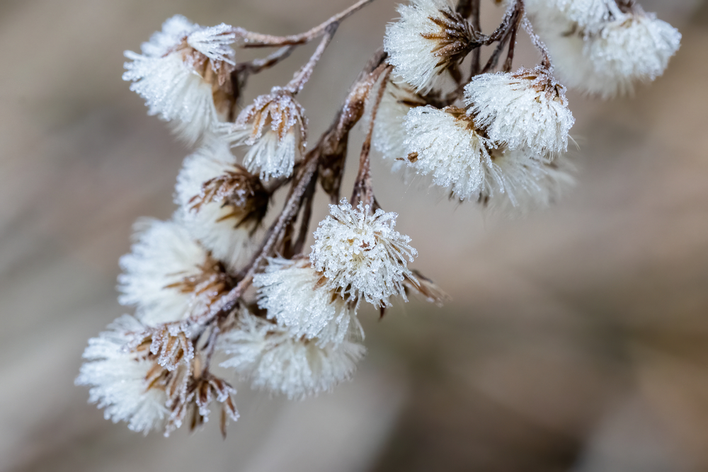 fot. shutterstock