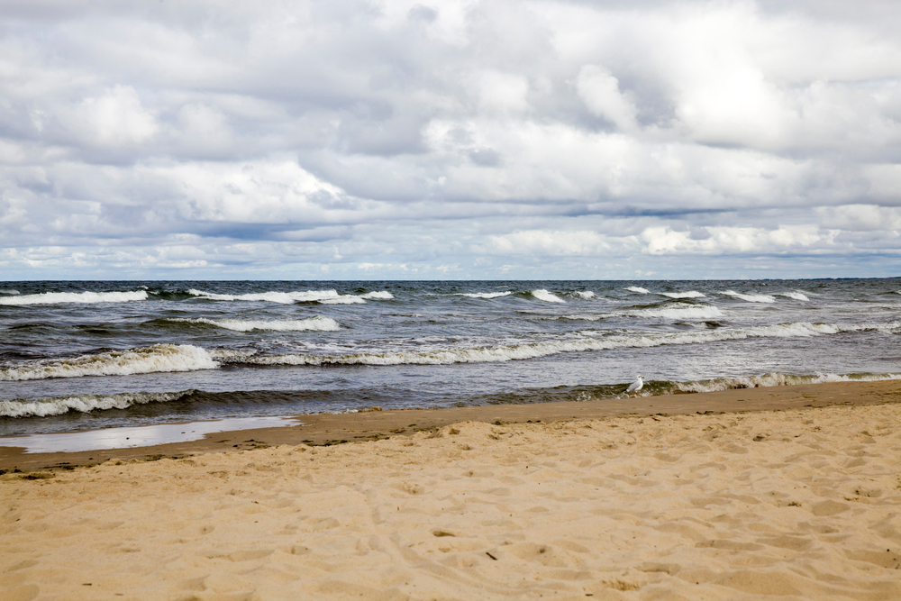 fot. shutterstock