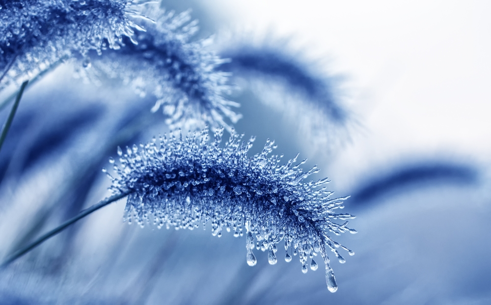 fot. shutterstock